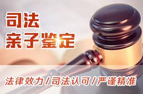 成都司法DNA鉴定哪里办理,成都司法DNA鉴定结果需要多久