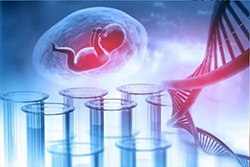 成都怀孕了怎么鉴定孩子父亲是谁，成都孕期亲子鉴定费用是多少